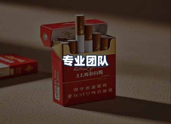 专业团队